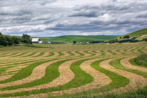 Photographing Color and Composition in the Palouse Region of Washington