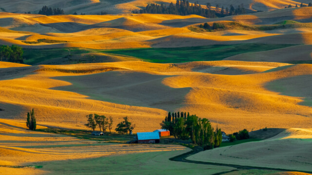 Sunrise drapes the rolling hills with amber light