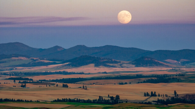 Full Moonrise on the Land