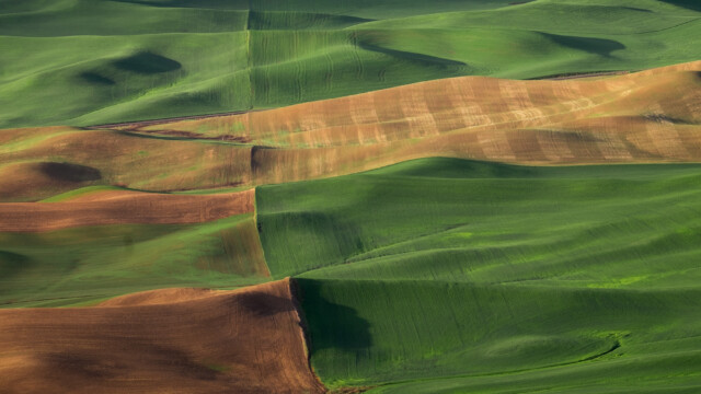 The Golden Seam across the Palouse